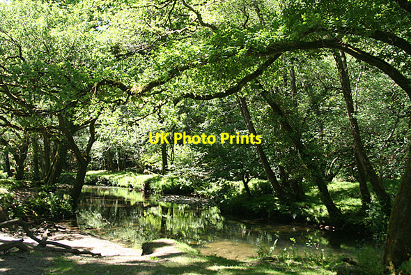 Photo 6"x4" Buckland Monachorum: by the Walkham Grenofen c2010