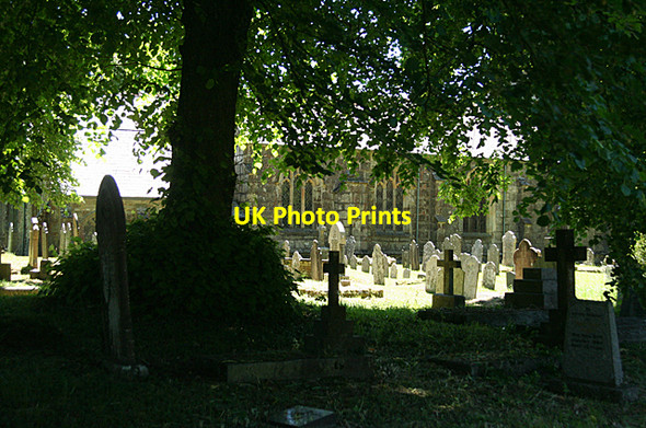 Photo 6"x4" Whitchurch: churchyard Tavistock c2010