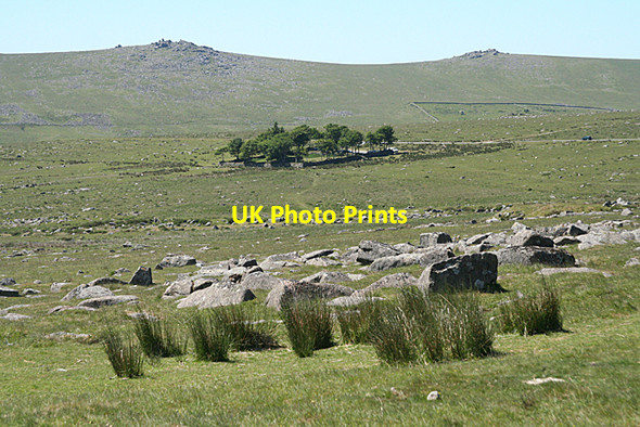 Photo 6"x4" Dartmoor Forest: between tors Merrivale\/SX5475 c2010