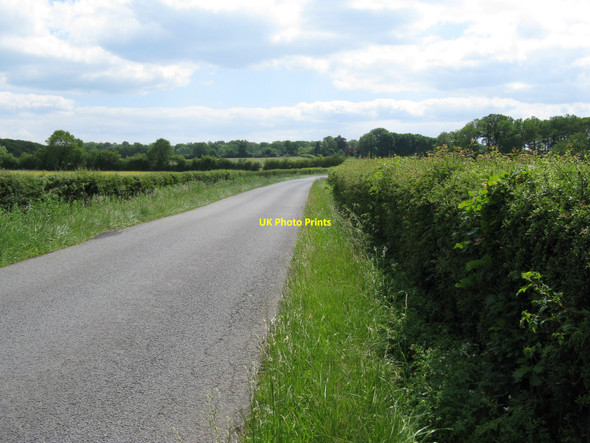 Photo 6"x4" Plaistow Road south to Durfold Hall Upper Ifold c2010