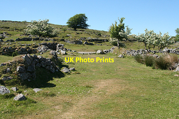 Photo 6"x4" Dartmoor Forest: track at Whiteworks Princetown\/SX5873 c2010