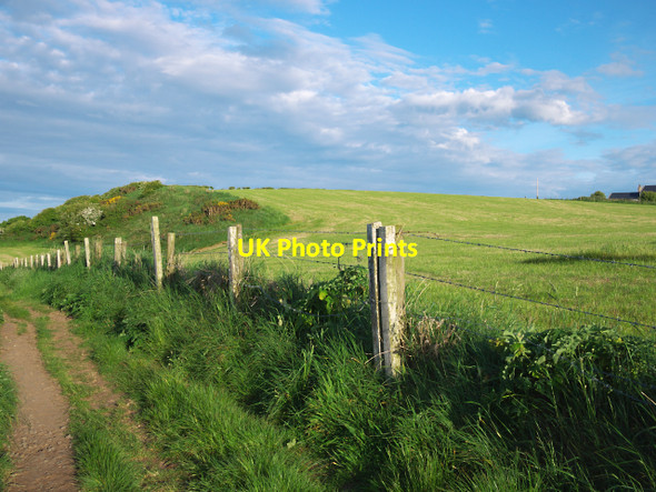 Photo 6"x4" Path and field, Ballymacormick Point Groomsport c2010