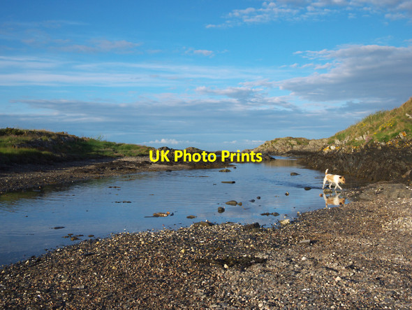 Photo 6"x4" Shoreline, Ballymacorkmick Point Groomsport c2010