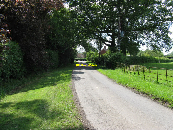 Photo 6"x4" View SW on Hurlands Lane Dunsfold Common c2010