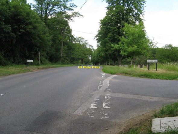 Photo 6"x4" Row of trees at the top of Wrotham Hill Dunsfold Common c2010