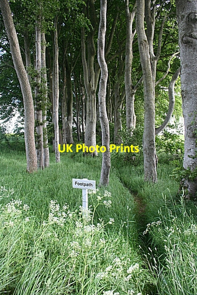 Photo 6"x4" Footpath Sign Oldmeldrum c2010