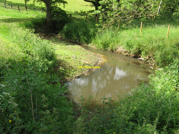 Photo 6"x4" Meandering stream at Dunsfold Ryse Highstreet Green\/SU9835 c2010