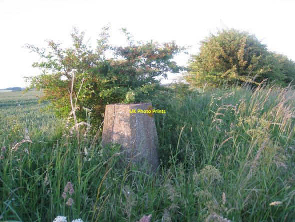 Photo 6"x4" Triangulation Pillar Gayton le Wold c2010