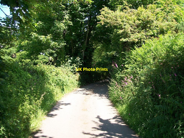 Photo 6"x4" A sylvan Lon Denio near the old stone quarries Pwllheli c2010