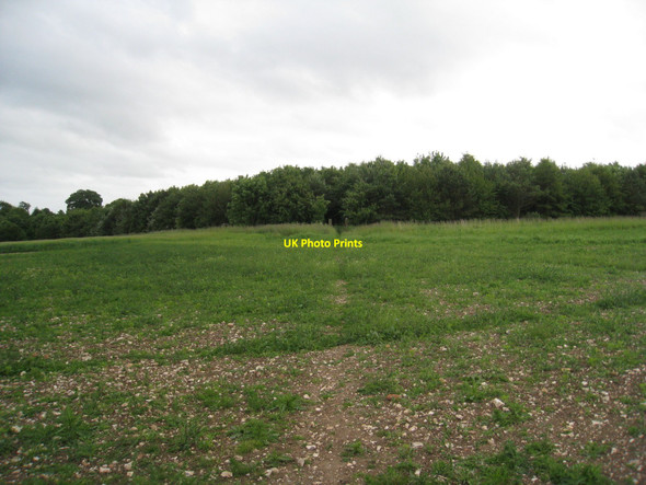 Photo 6"x4" Plantation behind Maidenwell Manor Farm Maidenwell\/TF3279 c2010