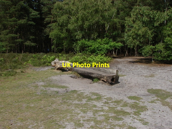 Photo 6"x4" Horsell Common Sheerwater\/TQ0260 c2010