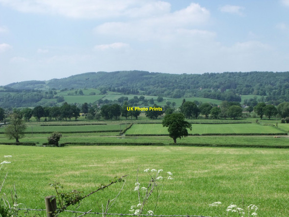 Photo 6"x4" Pasture near Leighton, Powys Welshpool\/Y Trallwng c2010