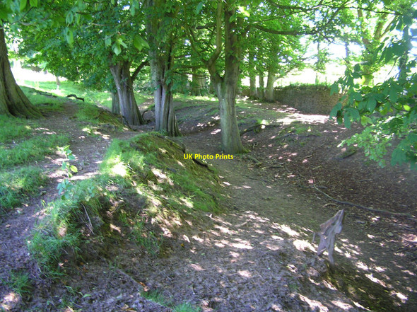 Photo 6"x4" Hollow ways in Dyrham Park Dyrham c2010