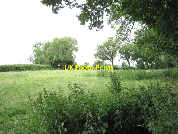 Photo 6"x4" Narrow field east of A38, Berkeley Heath: 1 Berkeley Heath c2010