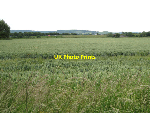 Photo 6"x4" Wheatfield between A38 and M5 Draycott\/SO7402 c2010