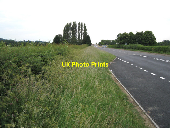 Photo 6"x4" Lombardy Poplars by A38 near Gossington Draycott\/SO7402 c2010
