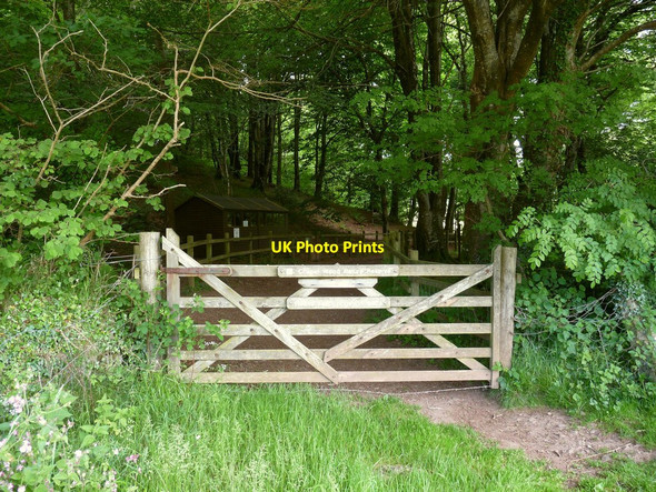 Photo 6"x4" The entrance to Chapel Woods Bradwell\/SS4942 c2010