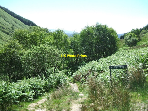 Photo 6"x4" Ledard Glen Kinlochard c2010