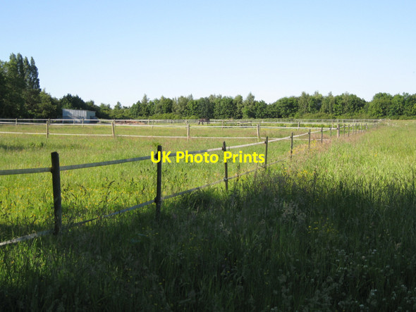 Photo 6"x4" Paddocks, Great Pinley Farm Pinley Green c2010
