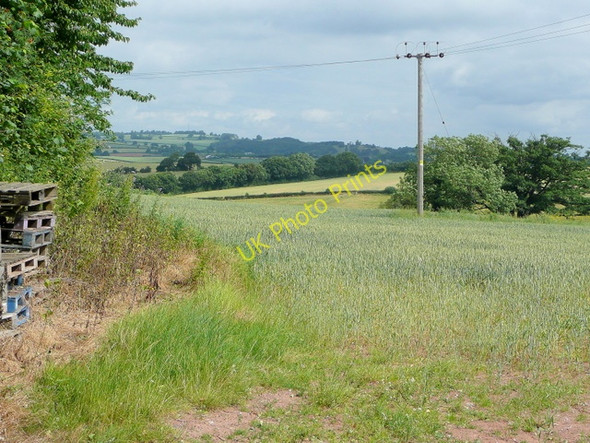 Photo 6"x4" Cereal land near Bollitree 2 Kingstone\/SO6324 c2009
