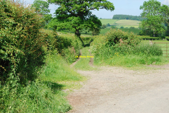 Photo 6"x4" Entrance to a back lane Clawdd Poncen c2010