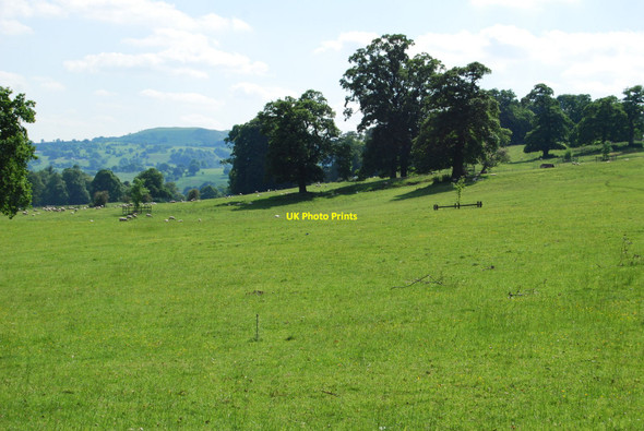 Photo 6"x4" Parkland trees and grazing land Druid\/SJ0443 c2010