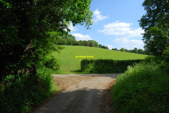 Photo 6"x4" Grassland by the lane junction Tyddyn Angharad c2010