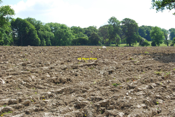 Photo 6"x4" Ploughing unearths the stones Tyddyn Angharad c2010