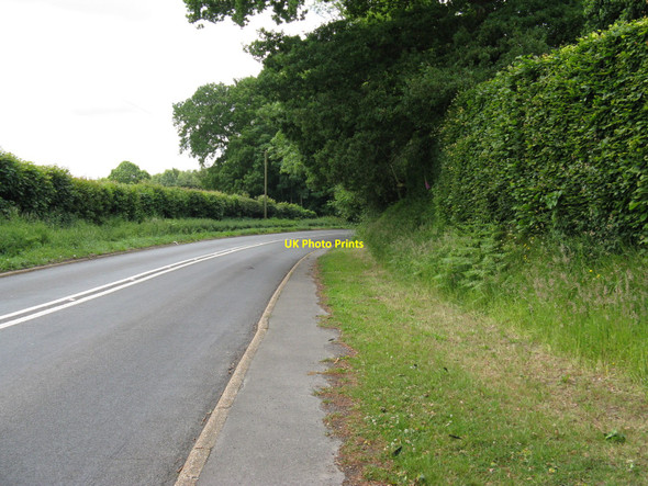 Photo 6"x4" B2192 leaving Halland for Lewes Halland c2010