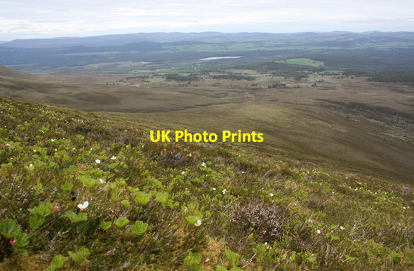 Photo 6"x4" Northern slopes of Meall a' Bhuachaille Meall a' Bhuachaille c2010