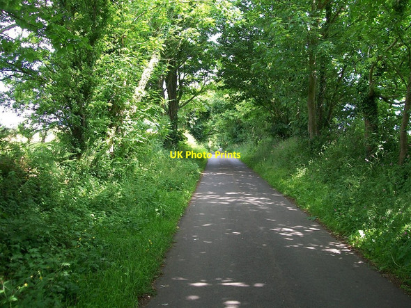Photo 6"x4" The road northwards towards the B4415 Efailnewydd c2010