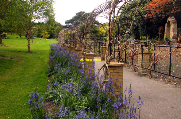 Photo 6"x4" Trees over the path at Ventnor Botanic Gardens Ventnor c2010
