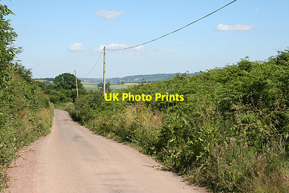 Photo 6"x4" Sampford Peverell: near Little Landside Ayshford c2010