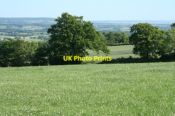 Photo 6"x4" Sampford Peverell: above Speedlands Ayshford c2010
