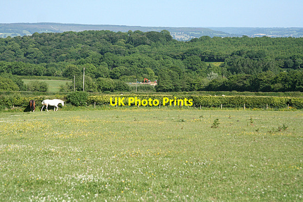Photo 6"x4" Hockworthy: on Dare's Down Hockworthy c2010
