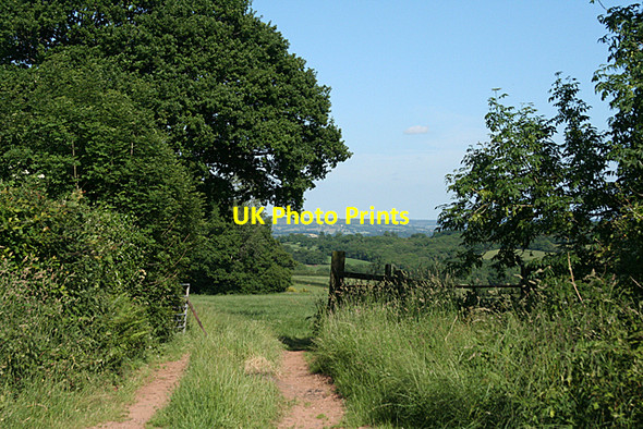 Photo 6"x4" Uplowman: on Beer Down Coombe\/ST0017 c2010