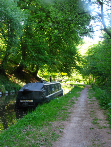 Photo 6"x4" Nellie Nefyn by the Towpath Abergavenny\/Y Fenni c2010