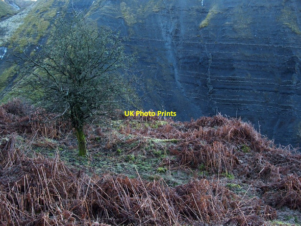 Photo 6"x4" Lime-kiln ruin in lower Auchenreoch Glen Alexandria c2010