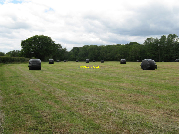 Photo 6"x4" Silage bales near Bradfords Farm Little Horsted c2010