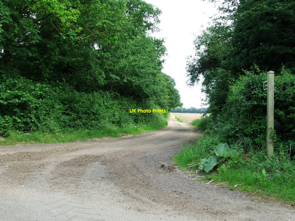 Photo 6"x4" Four Acre Belt Higham\/TL7465 c2010