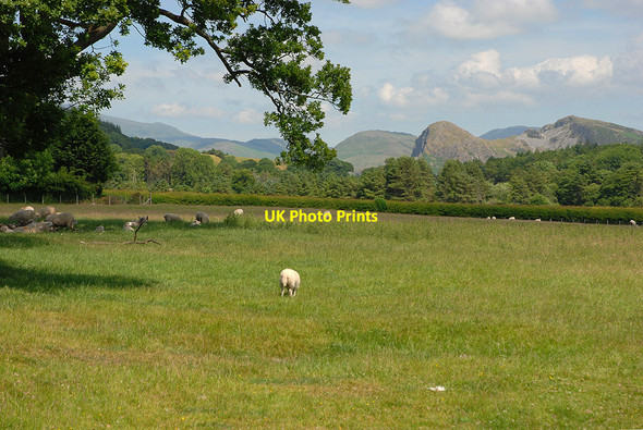 Photo 6"x4" Field east of Llanegryn Llanegryn c2010