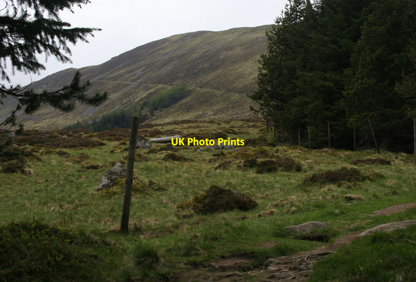 Photo 6"x4" Kilbo Path on the Shank of Drumfollow Acharn\/NO2876 c2010
