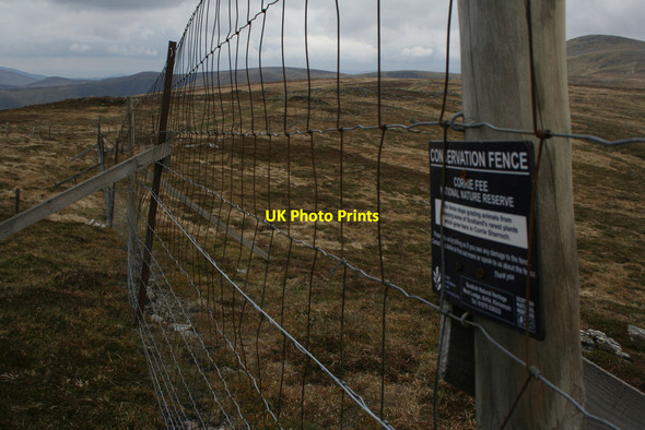 Photo 6"x4" Deer fence on Mayar Shank of Drumwhallo c2010