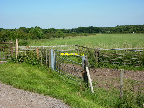 Photo 6"x4" Fields towards the B6387 Bothamsall c2010