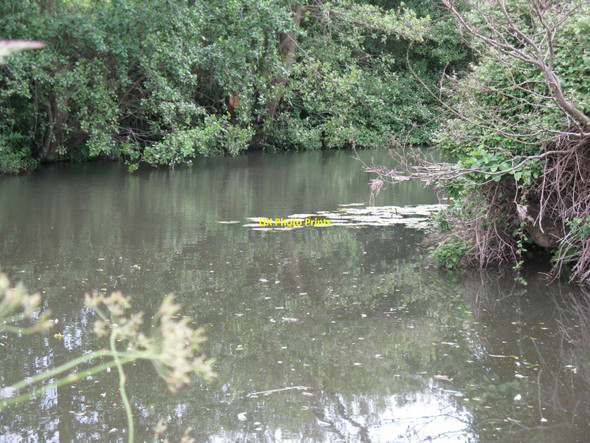 Photo 6"x4" River Uck north east of Isfield Isfield c2010