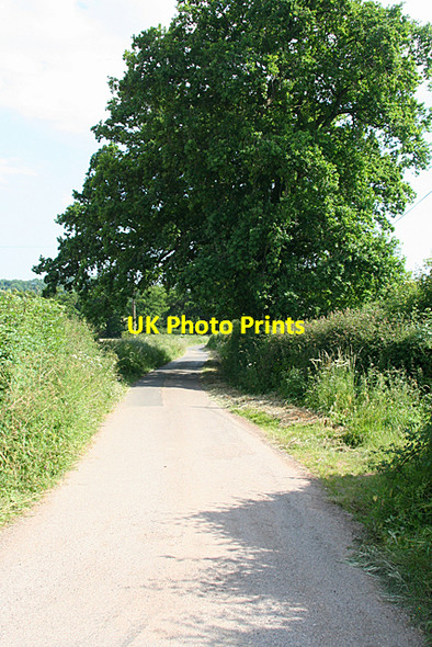 Photo 6"x4" Holcombe Rogus: towards Wardmoor Greenham\/ST0720 c2010
