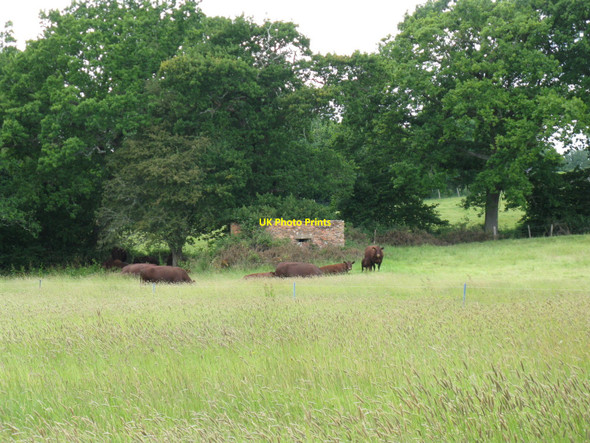 Photo 6"x4" Cattle guarding pillbox, guarding River Uck Isfield c2010