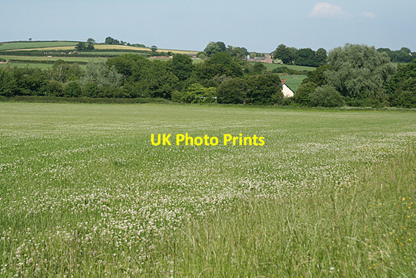 Photo 6"x4" Hockworthy: towards East Holelake Huntsham c2010