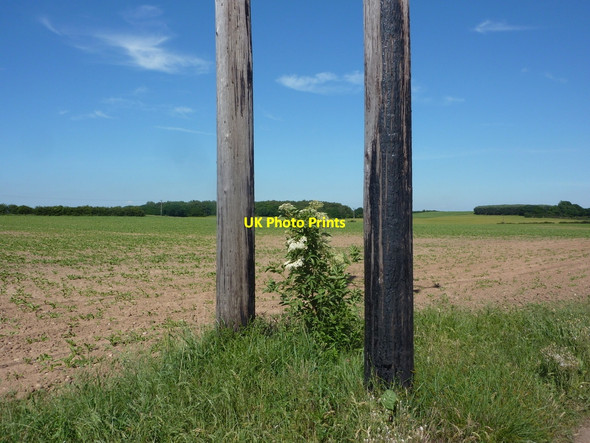 Photo 6"x4" Farmland and telegraph poles Elkesley c2010