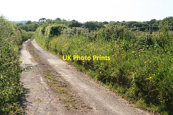 Photo 6"x4" Hockworthy: lane near East Holelake Staple Cross\/ST0320 c2010